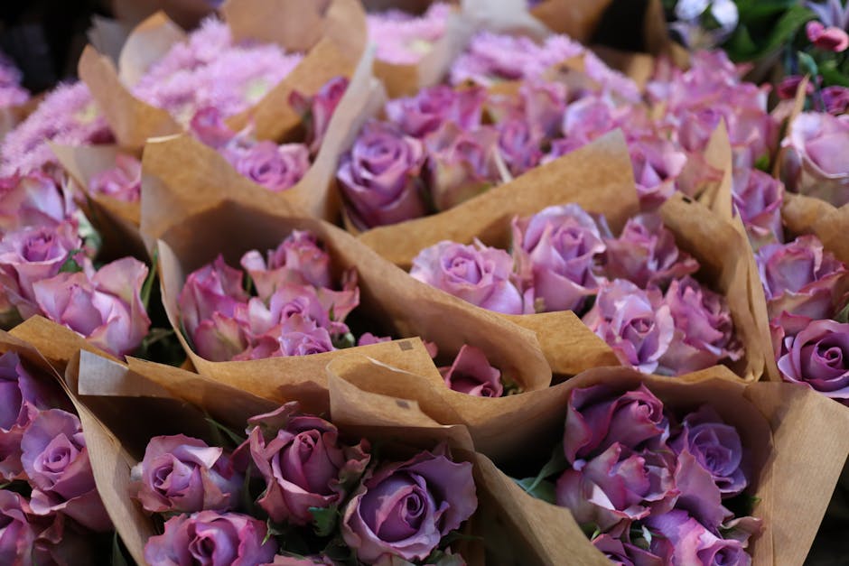A collection of fresh pink and lavender roses, arranged in small bouquets wrapped in brown craft paper, sitting closely together. The roses have velvety petals with some blooms in full display and oth